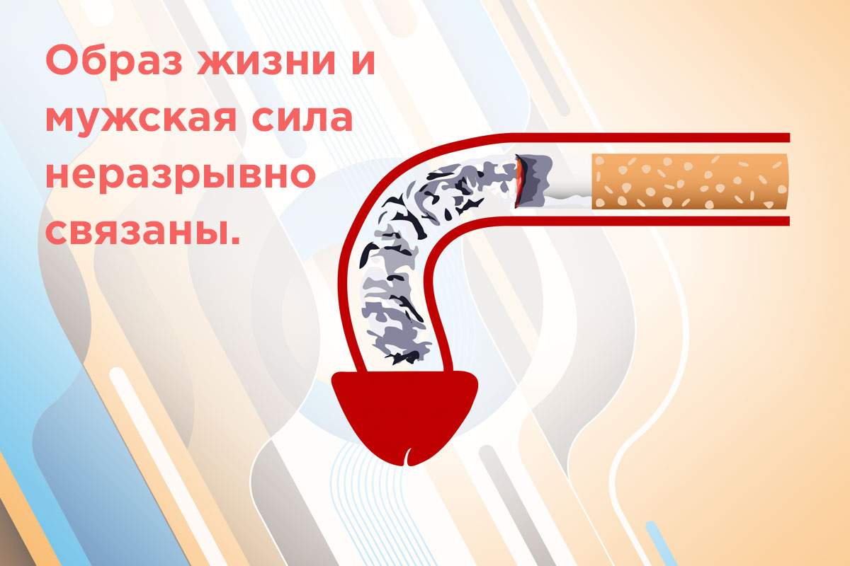 потенция курящего